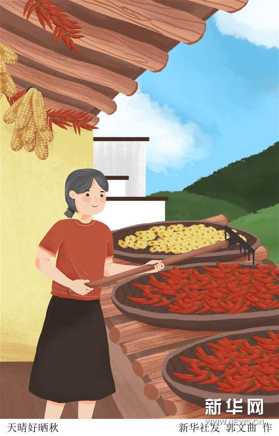 （圖表&middot;插畫）［二十四節(jié)氣&middot;立秋］天晴好曬秋