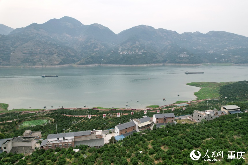 三沱村正以“三峽橙莊”建設(shè)為契機，描繪鄉(xiāng)村振興新圖景。人民網(wǎng)記者 劉政寧攝