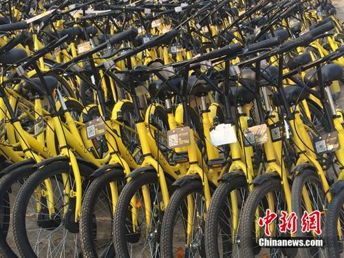在共享單車維修點(diǎn)，很多共享單車二維碼被涂損。<a target='_blank'  _fcksavedurl='http://www.chinanews.com/' ></table>中新網(wǎng)</a> 吳濤 攝