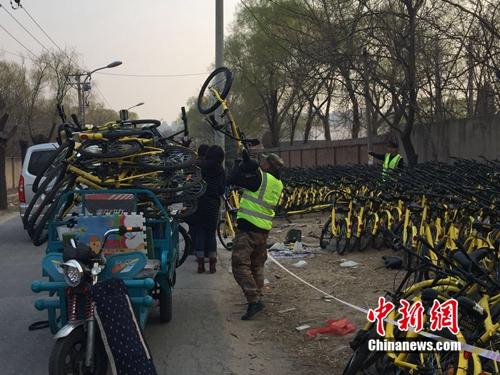 有故障的共享單車正源源不斷地送到維修點(diǎn)。<a target='_blank'  _fcksavedurl='http://www.chinanews.com/' ></table>中新網(wǎng)</a> 吳濤 攝