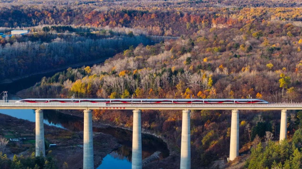 沈白高鐵正式開通運(yùn)營(yíng)。受訪方供圖