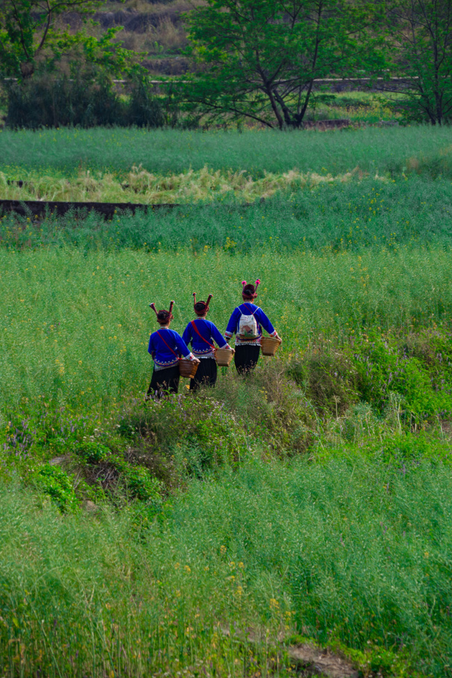 世外桃源春光好。網(wǎng)友“二流攝影師”攝