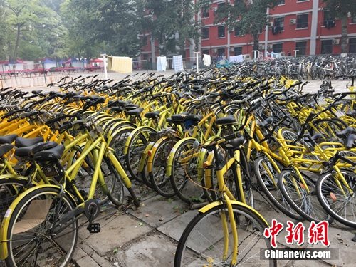 資料圖。北京某所高校內(nèi)的共享單車數(shù)量驚人。<a target='_blank'  _fcksavedurl='http://www.chinanews.com/' ></table>中新網(wǎng)</a> 吳濤 攝