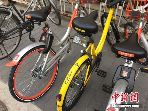 資料圖。某輛共享單車號碼被損。<a target='_blank'  _fcksavedurl='http://www.chinanews.com/' ></table>中新網(wǎng)</a> 吳濤 攝